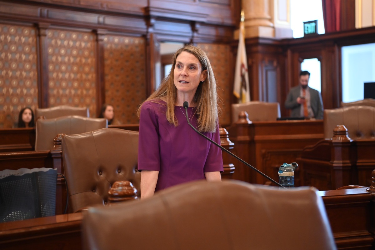State Senator Laura Fine