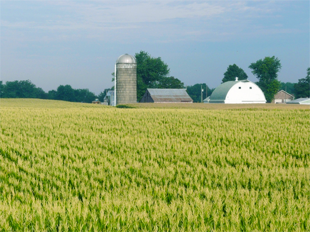 Illinois Farms