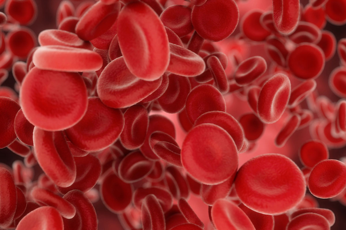 blood cells 090420