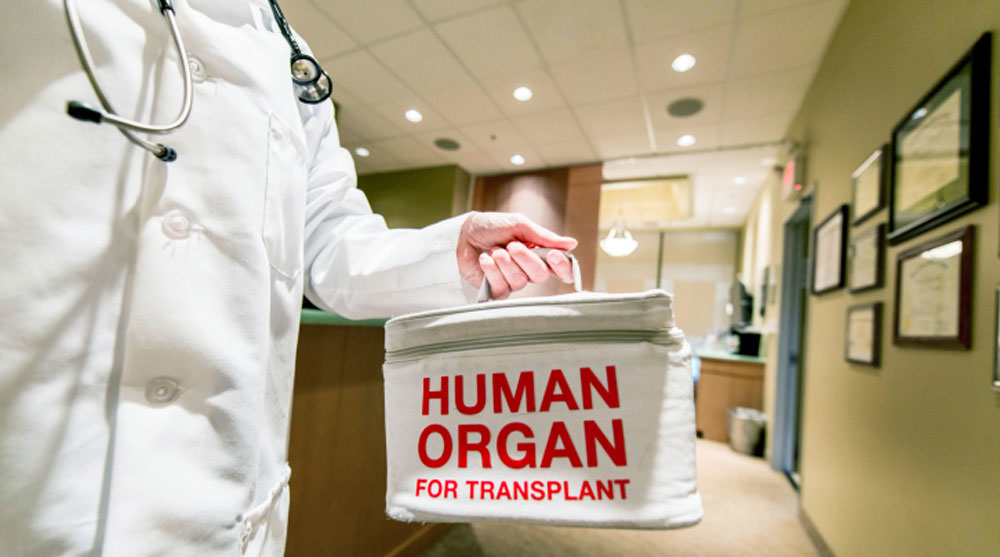 organ donor 080620