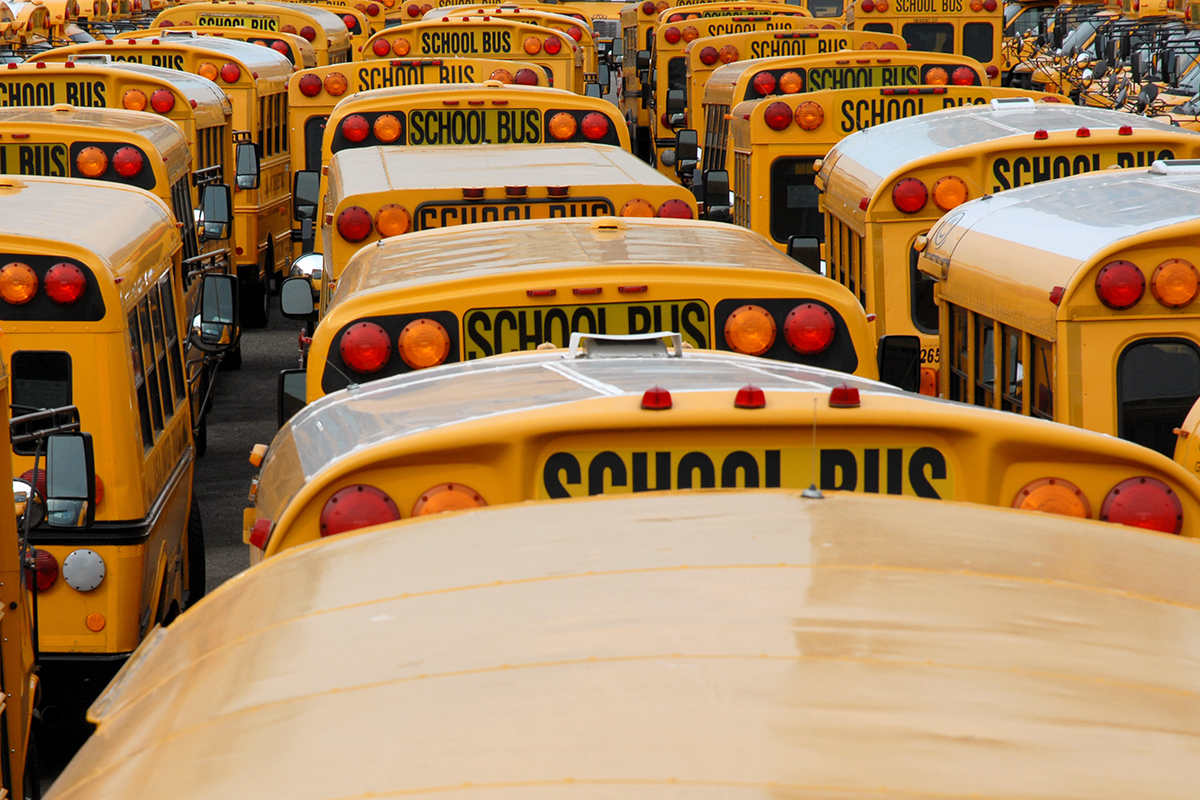 school buses