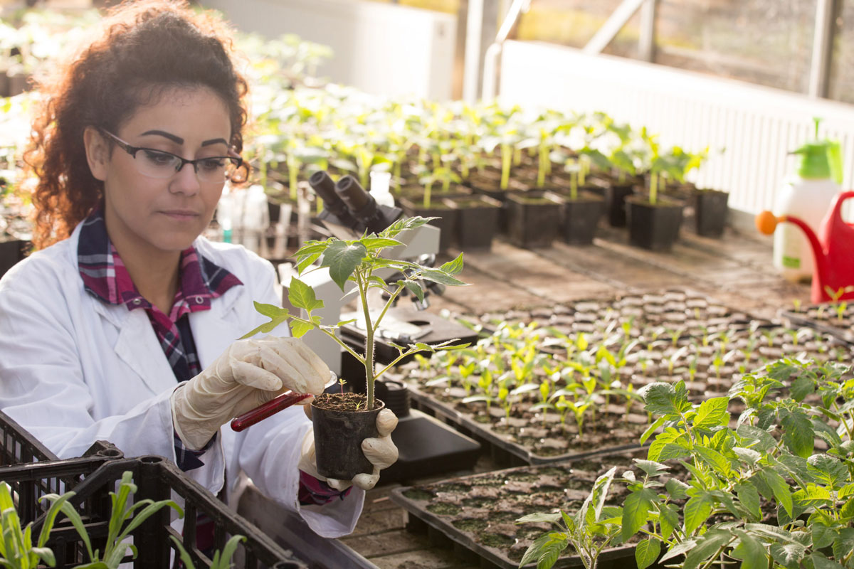 Agricultural education