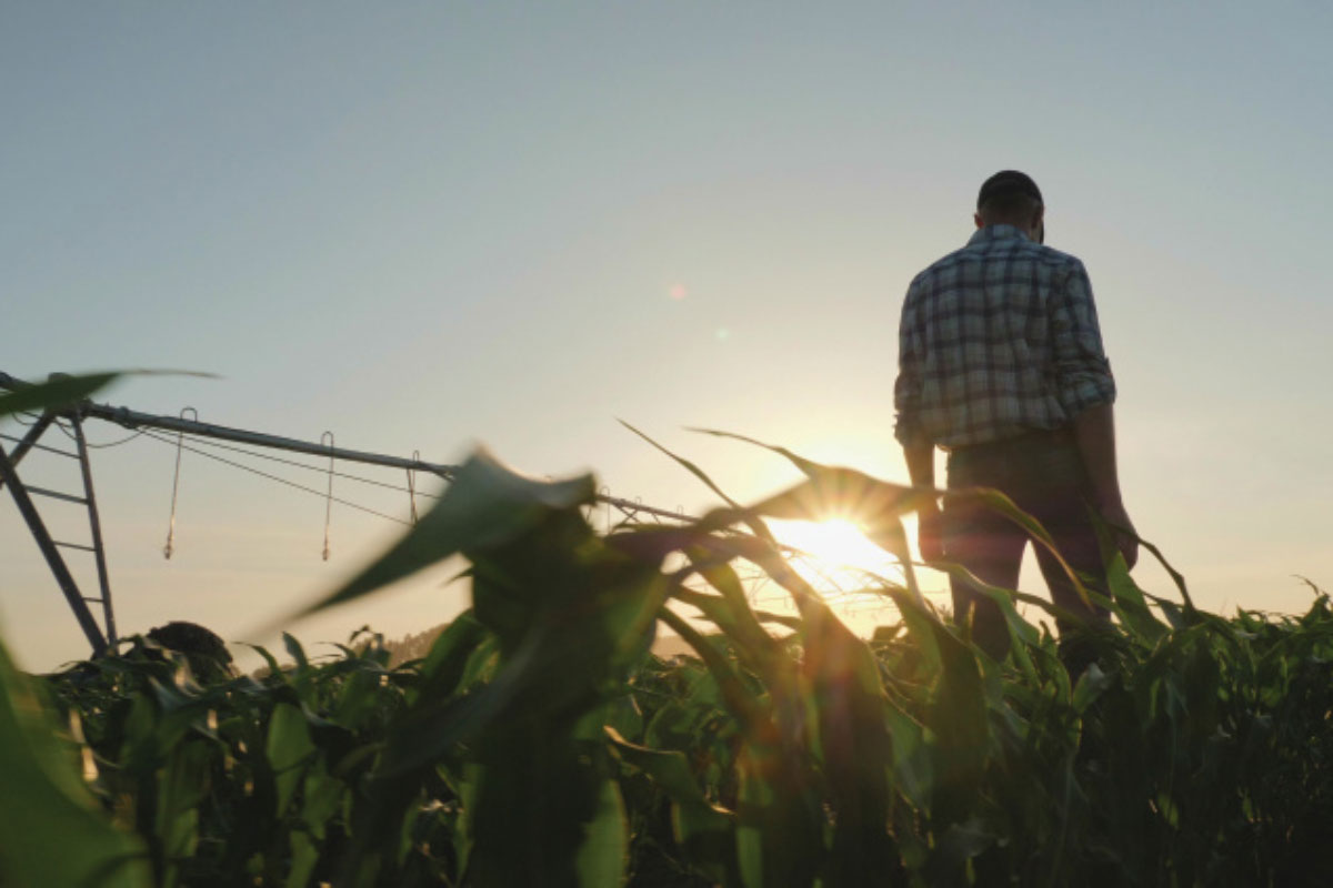 Farmer