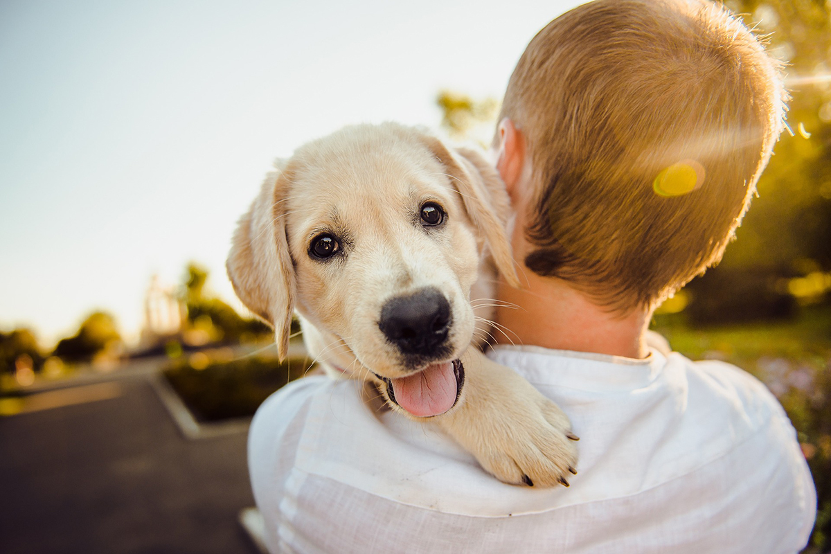 happy thursday images with dogs