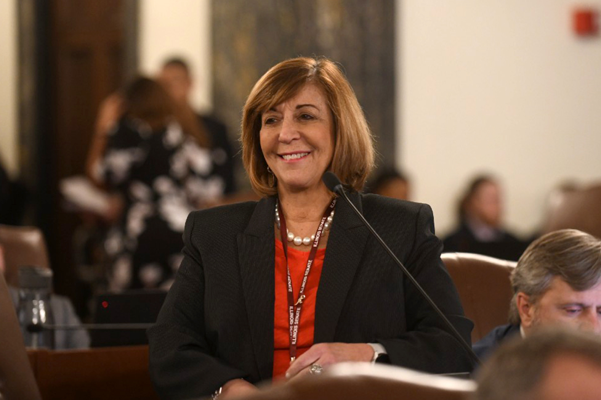 Sen. Sara Feigenholtz