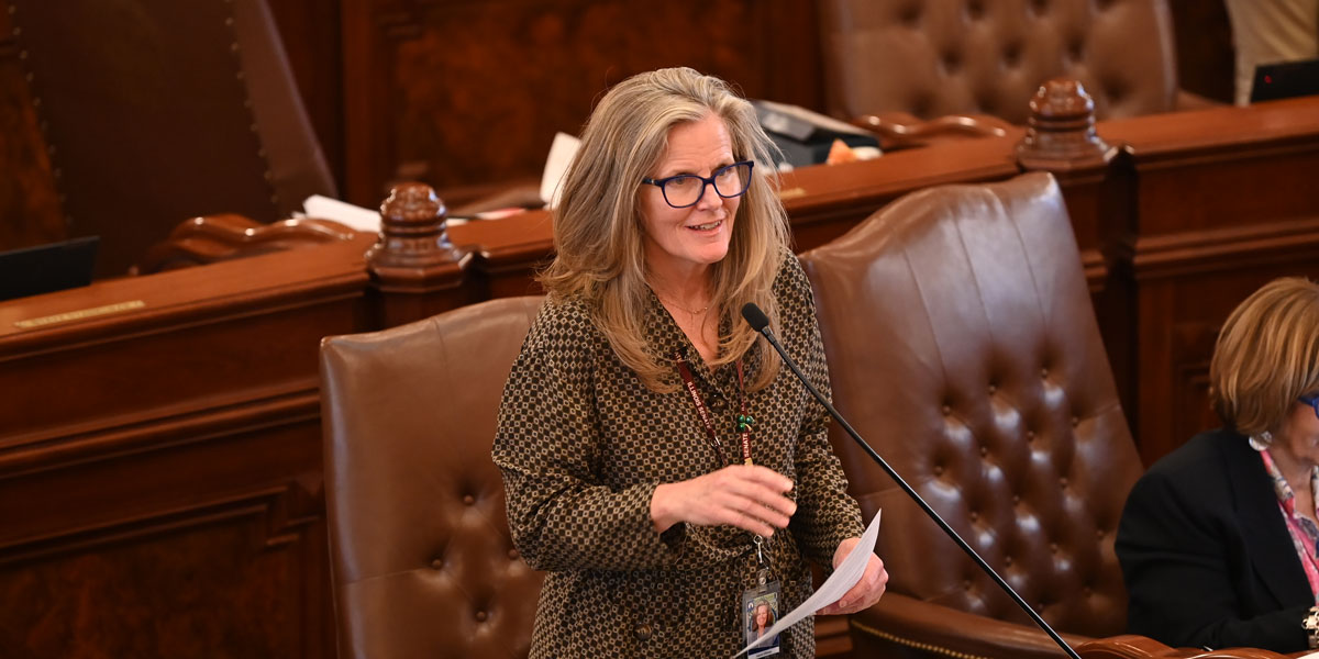 Ellman measure to strengthen Illinois gun storage becomes law