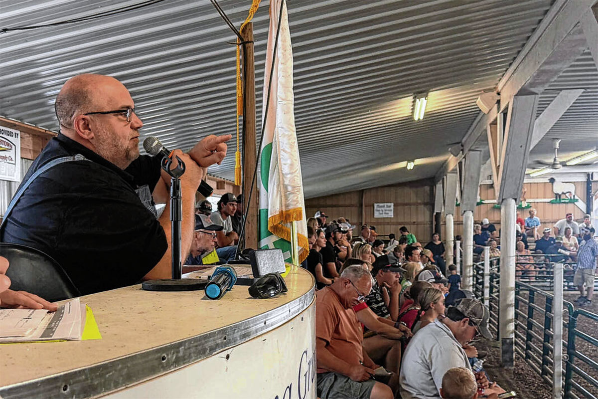 halpin auction 080525