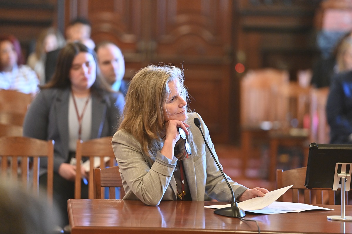 State Senator Laura Ellman speaks in committee.