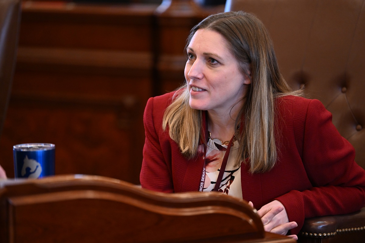 State Senator Rachel Ventura speaks in a committee