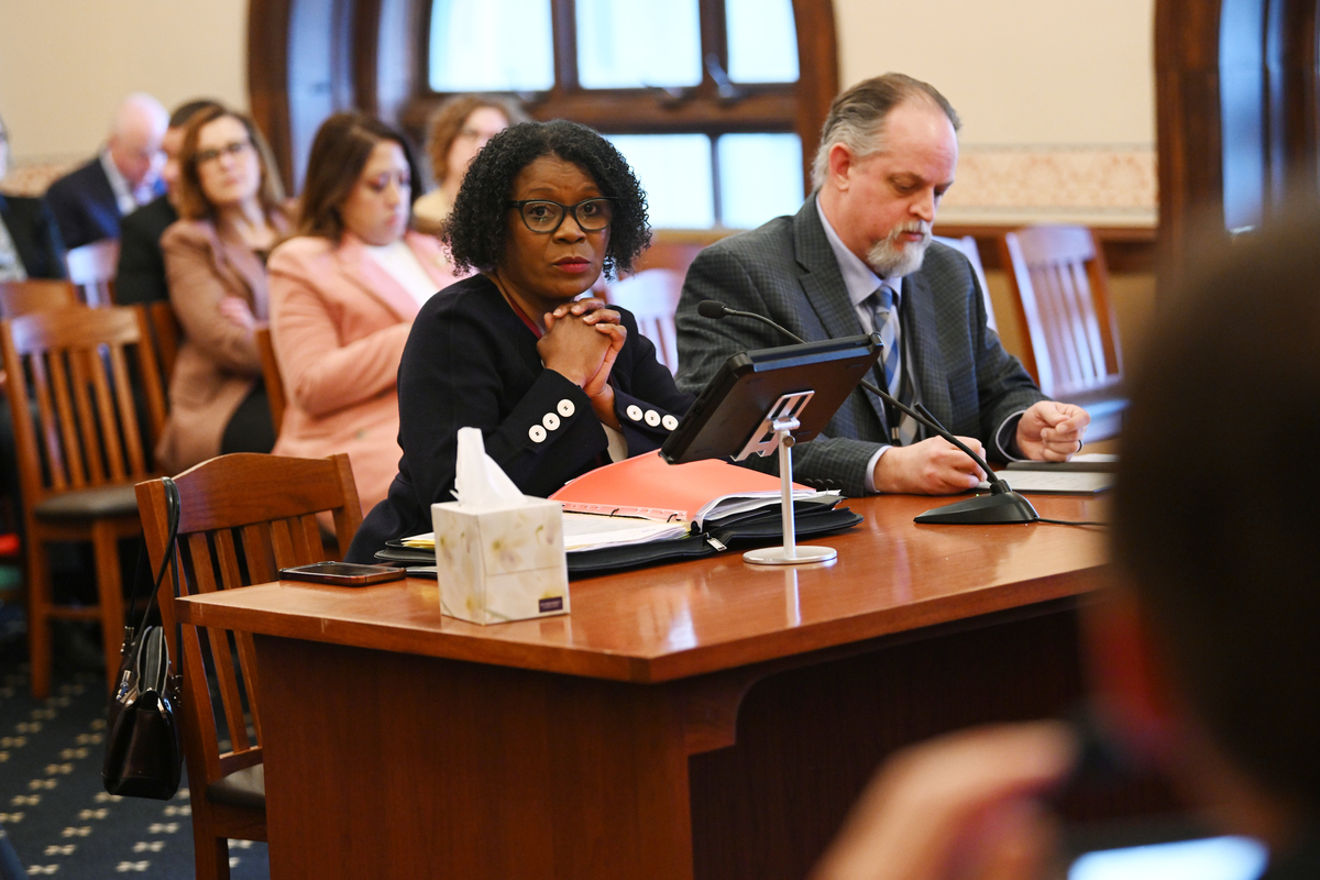 (Photo) Sen. Johnson testifies in committee