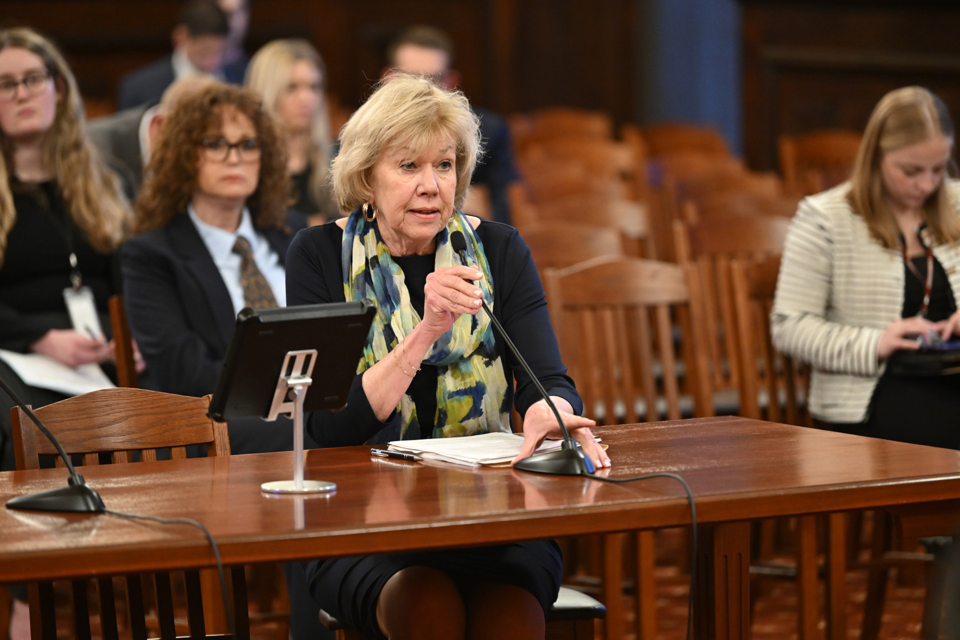 State Senator Julie Morrison speaks during a committee