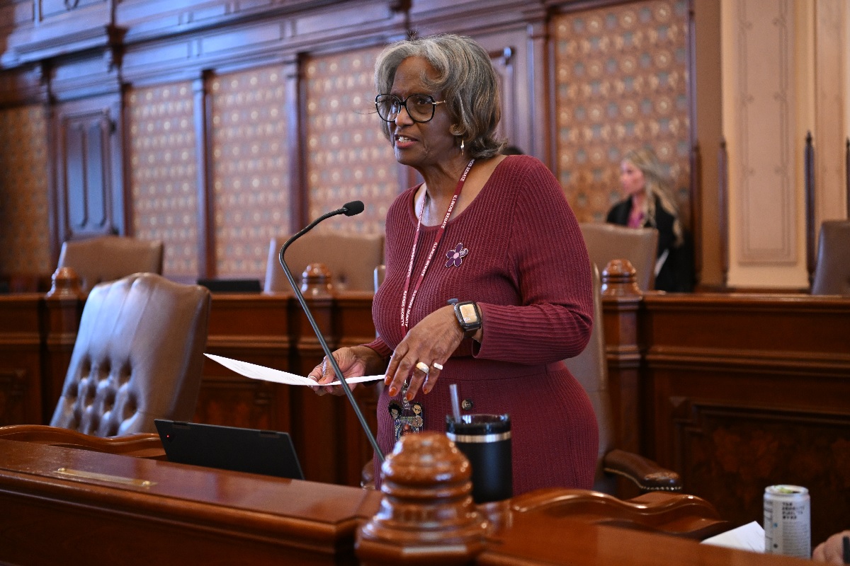 State Senator Doris Turner speaks on the Senate floor