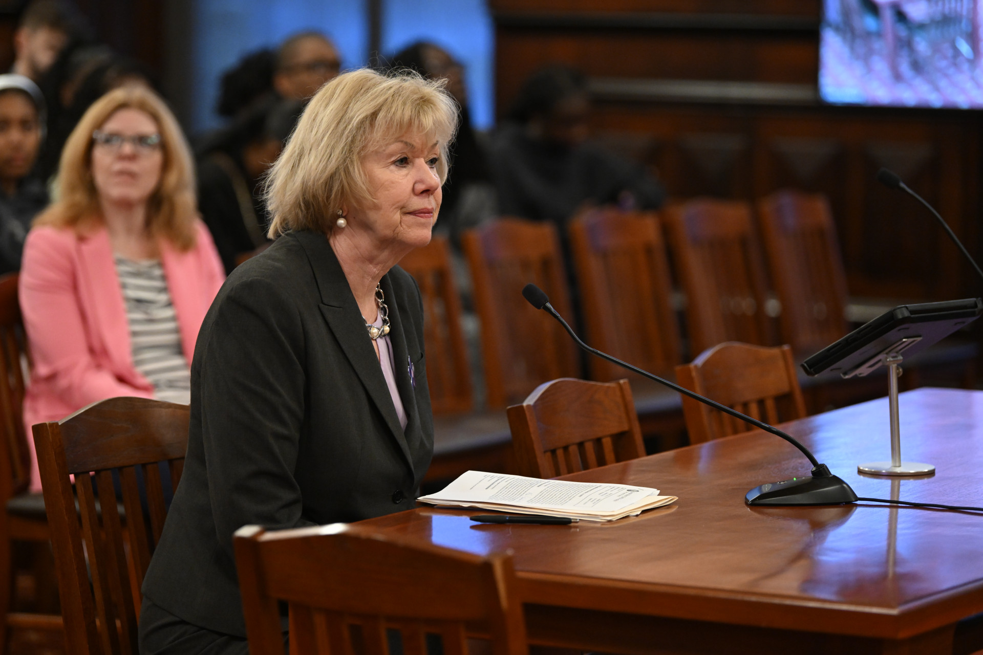 State Senator Julie Morrison addresses the Senate Criminal Law Committee