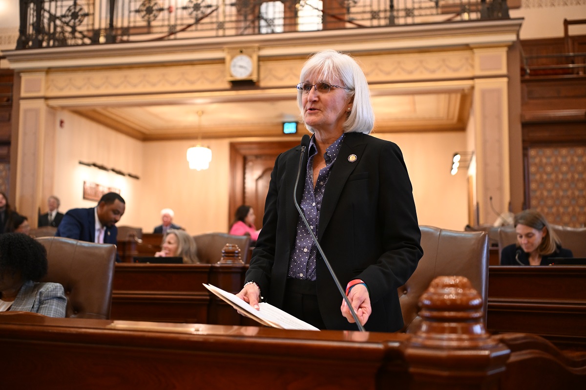 State Senator Mary Edly-Allen addresses the Illinois State Senate
