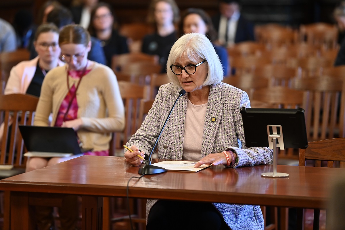 State Senator Edly-Allen addresses the Senate Criminal Law Committee