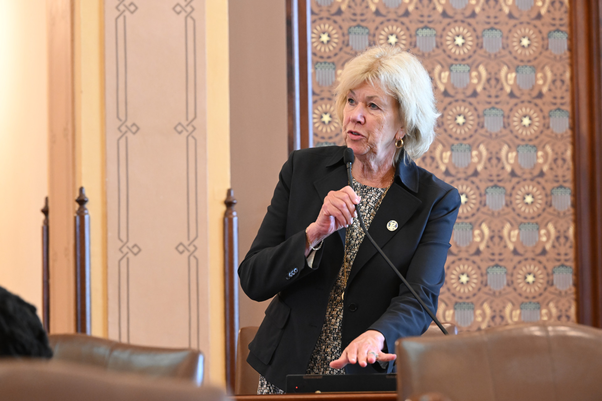 State Senator Julie Morrison speaks on the Senate floor