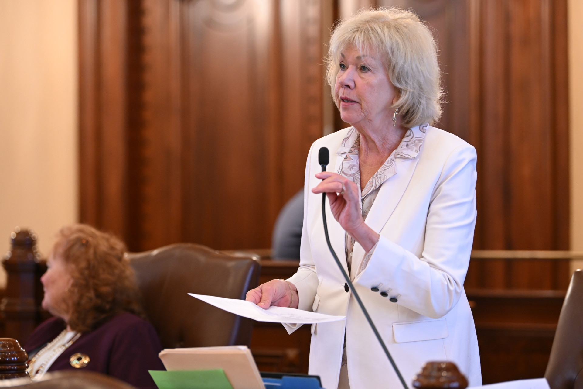 State Senator Julie Morrison addresses the Illinois Senate.