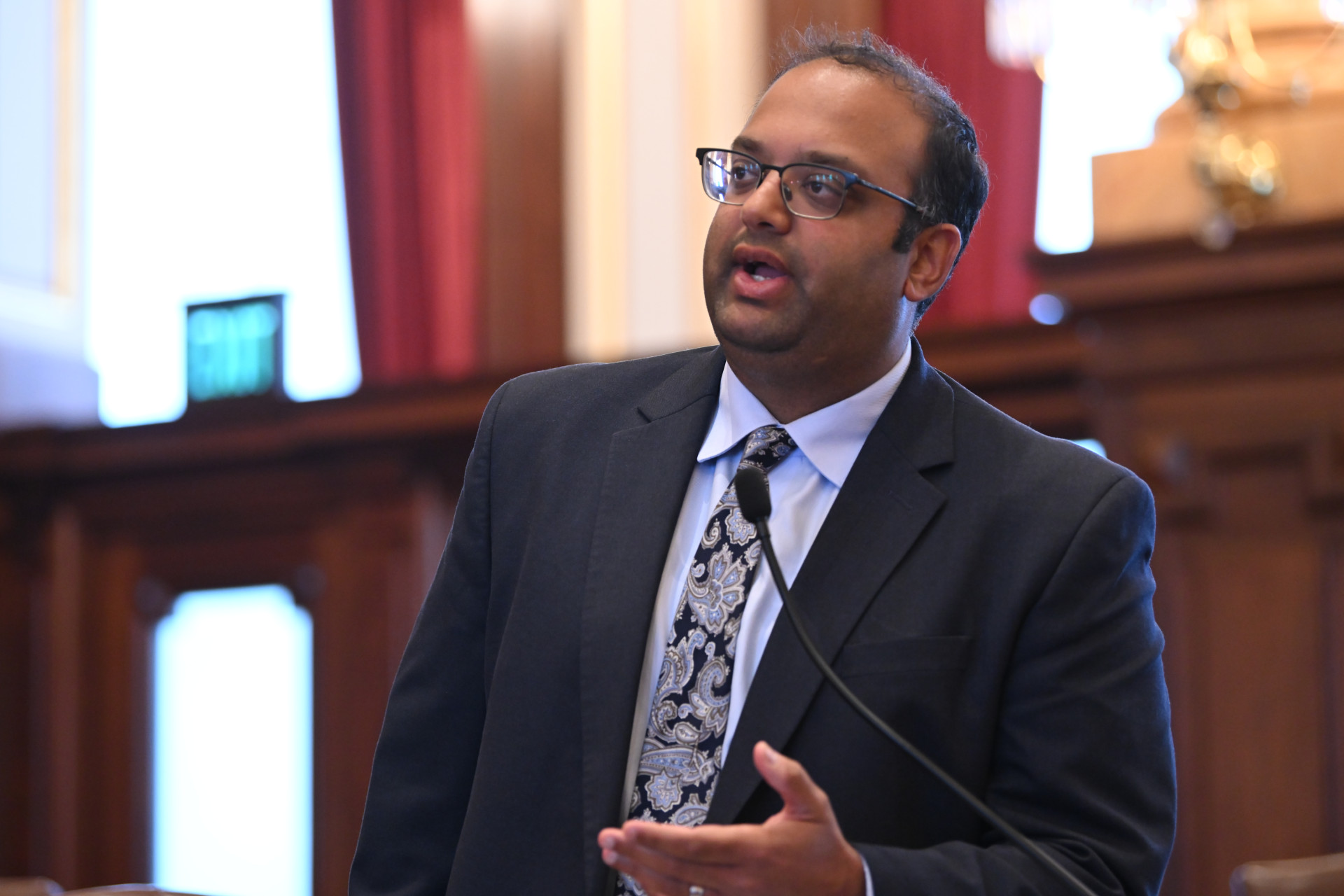 State Senator Ram Villivalam addresses the Illinois Senate.