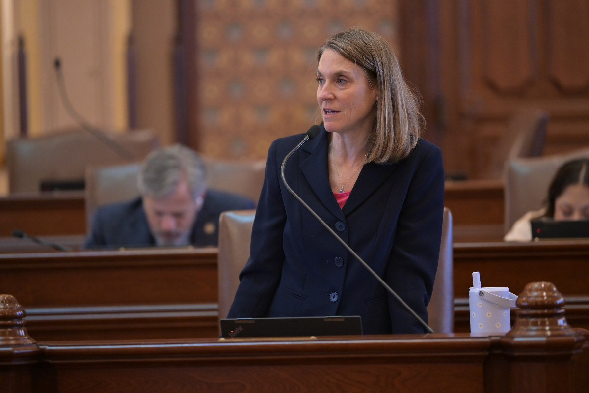 State Senator Laura Fine speaks on the Senate floor