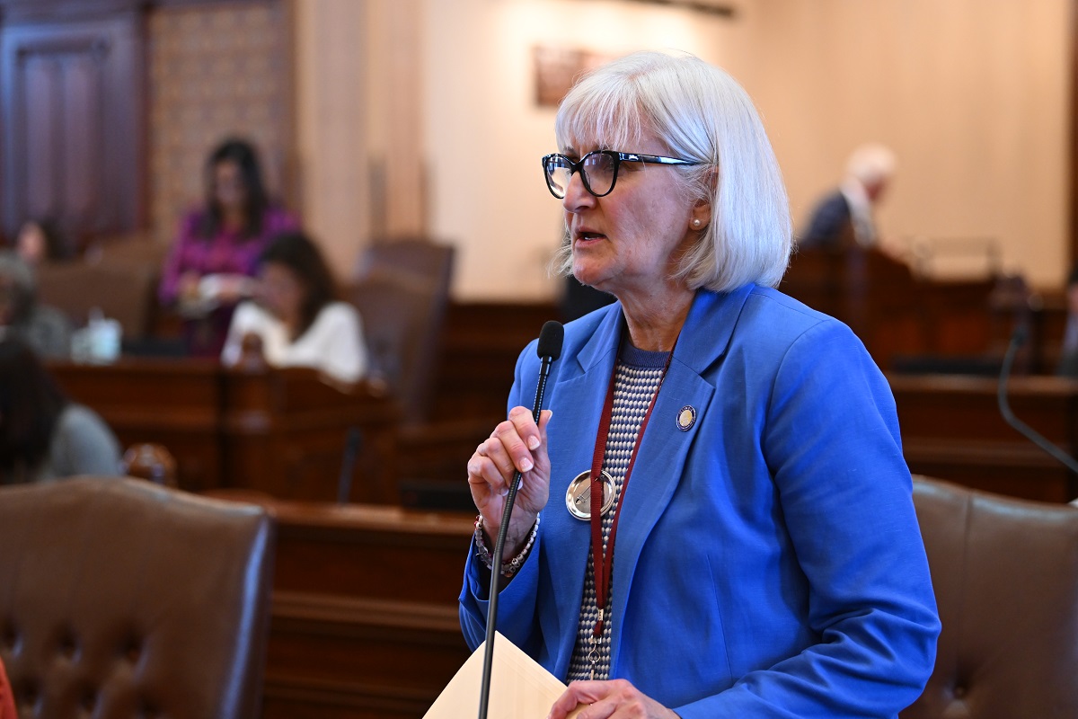 State Senator Mary Edly-Allen speaks on the Senate floor