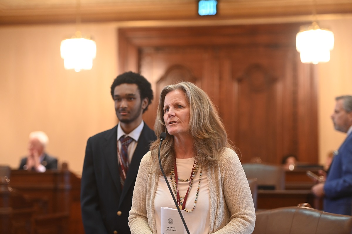 State Senator Laura Ellman speaking on the Senate floor