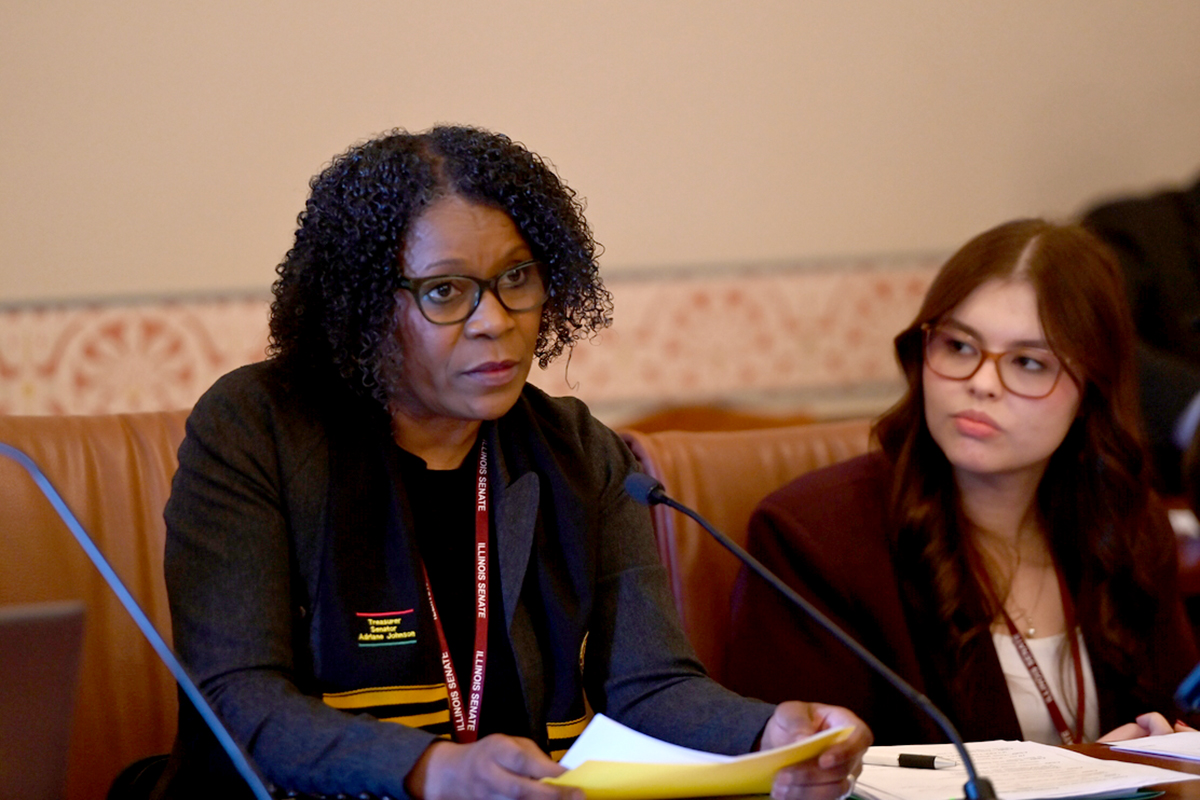 (Photo) Sen. Johnson in committee