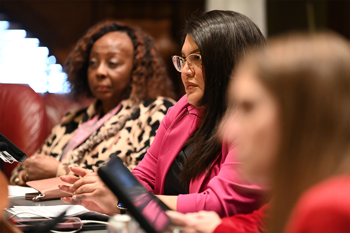 State Senator Graciela Guzmán in a committee