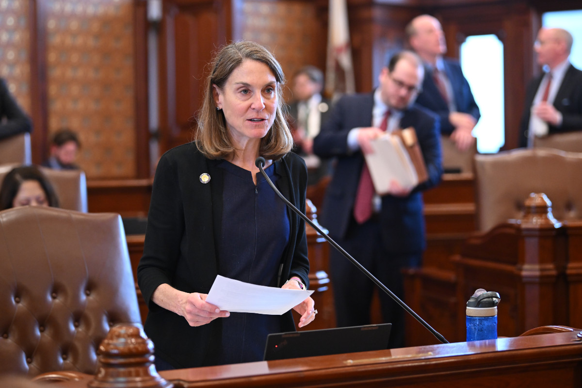 State Senator Laura Fine speaks on the Senate floor