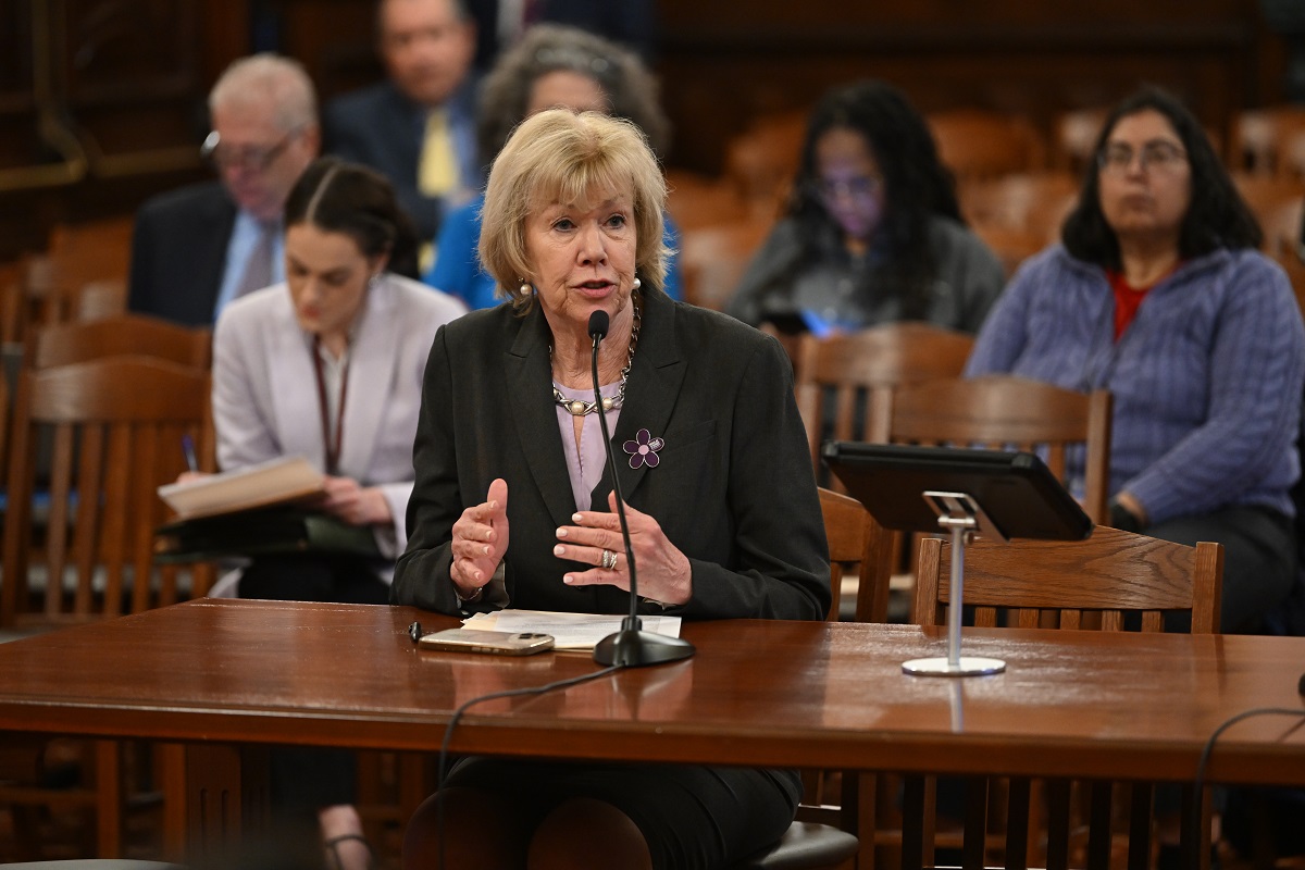 State Senator Julie Morrison speaks in a Senate committee