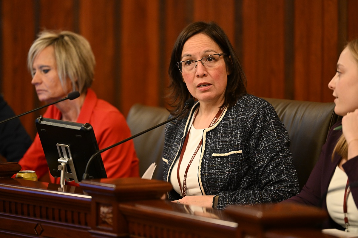 State Senator Cristina Castro speaks in committee