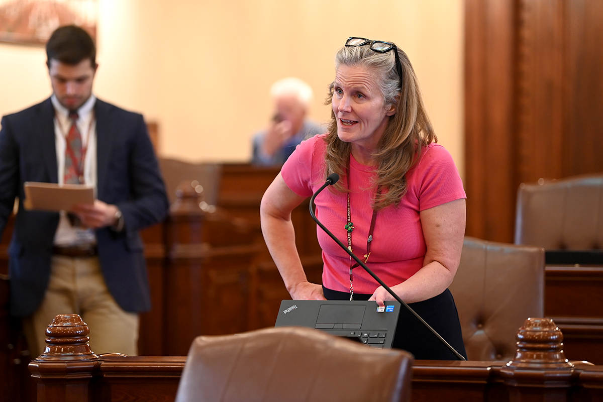(Photo) Sen. Ellman addresses the Senate