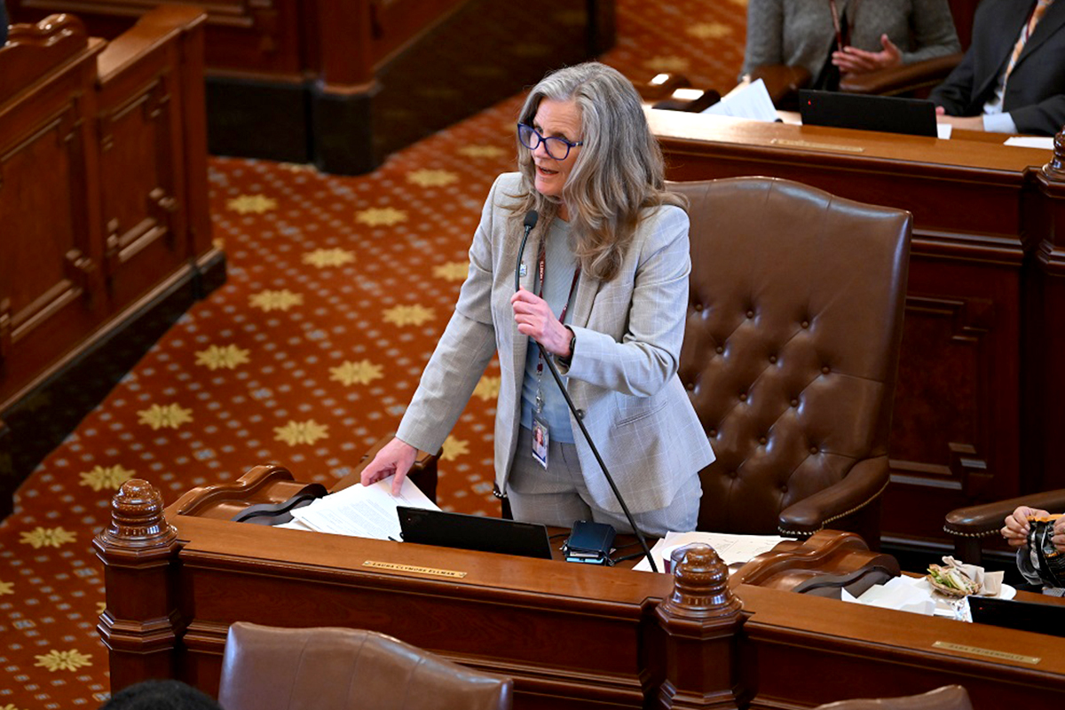 (Photo) Sen. Ellman addresses the Senate