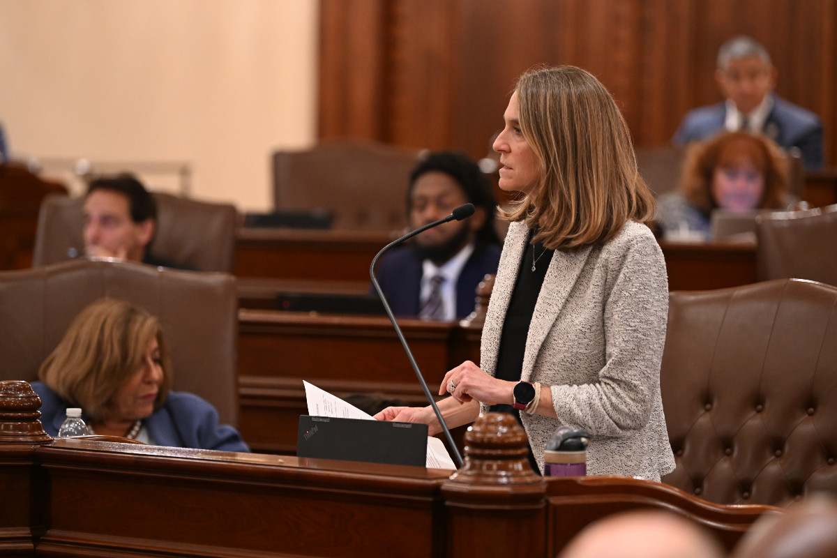 Senator Fine stands at a podium speaking into a microphone in the Senate chamber. She holds papers while addressing the assembly, with other seated lawmakers listening in the background.