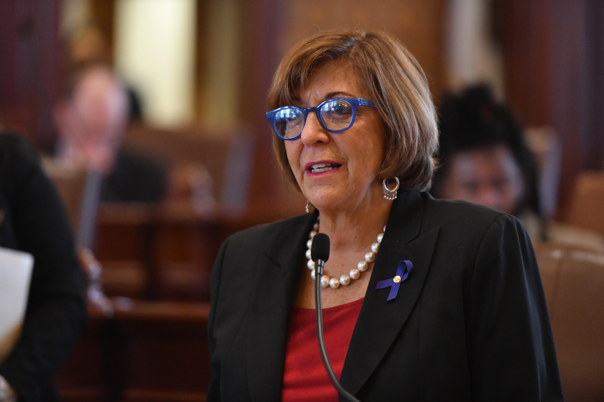 Sen. Sara Feigenholtz