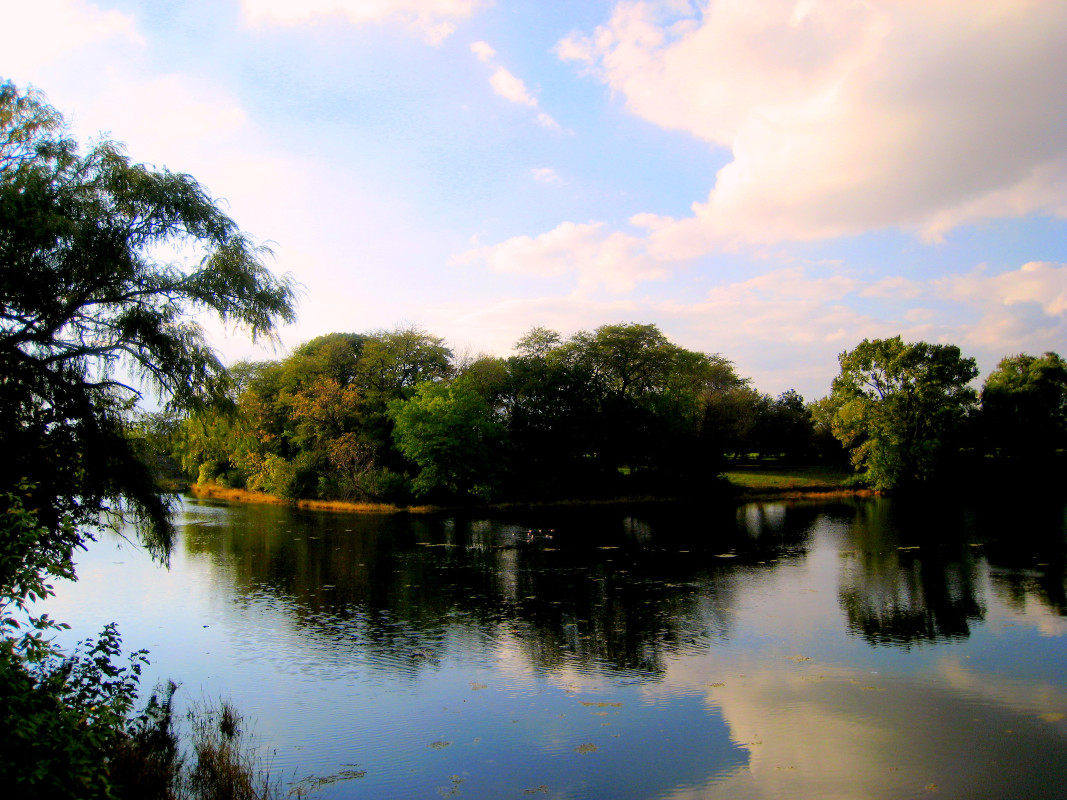 Marquette Park 