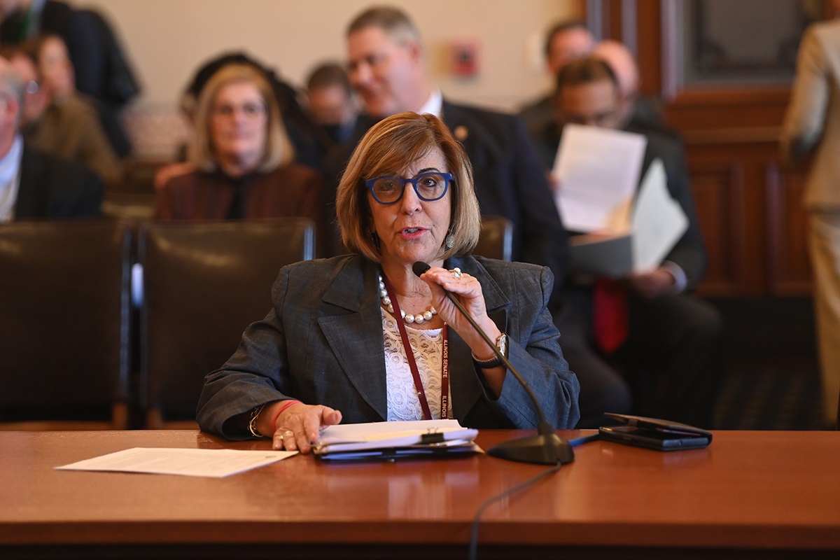 Senator Sara Feigenholtz