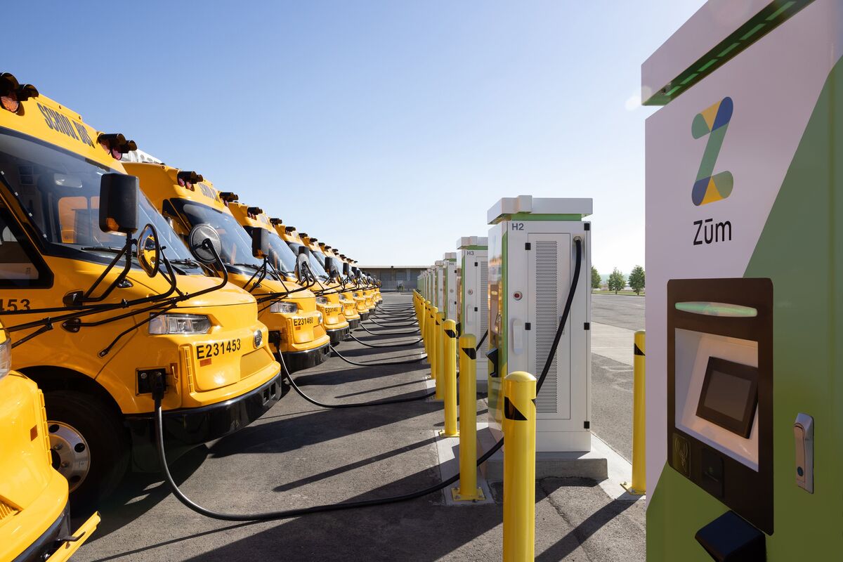 Schools buses hooked up to electrict chargers. 