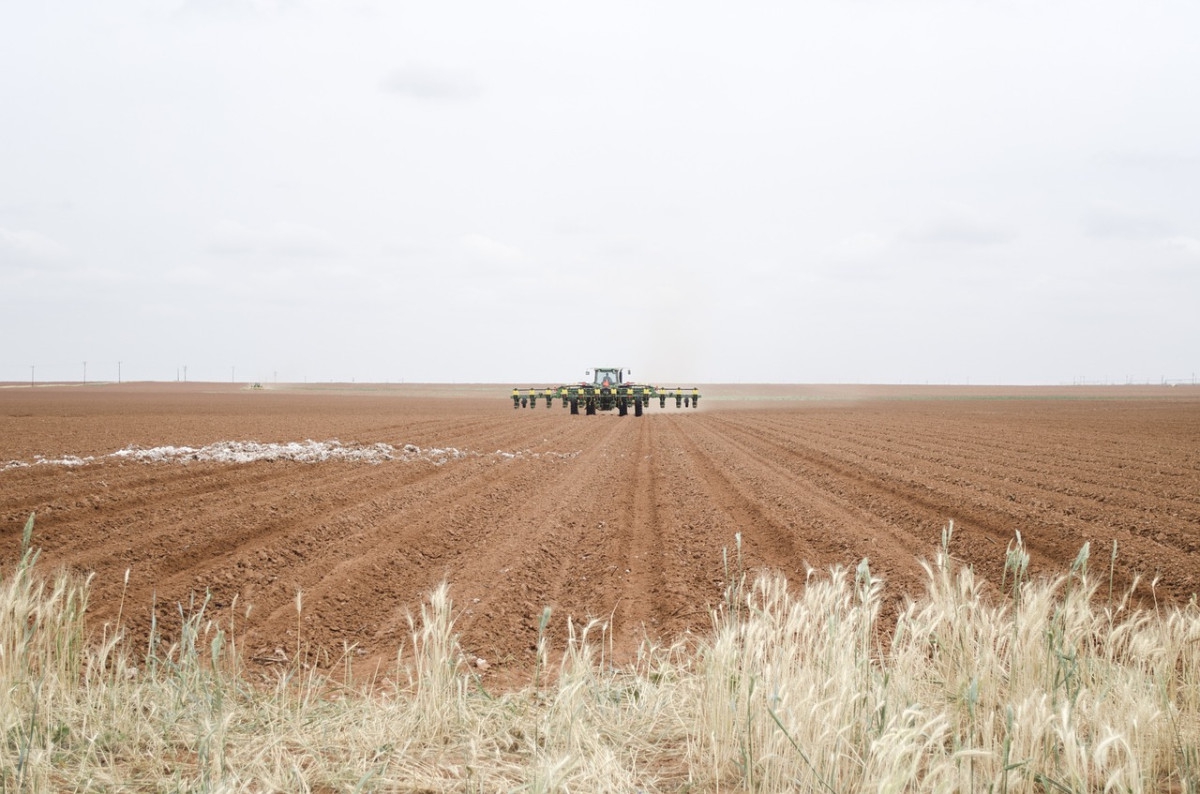 Tractor in a Field