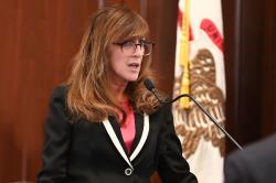 Holmes advances measure to protect gray foxes in Illinois