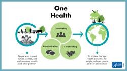 State commission to strengthen public health preparedness established under Morrison law